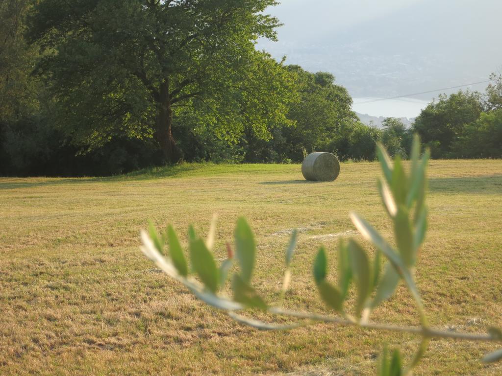 Agriturismo Deviscio Лекко Экстерьер фото