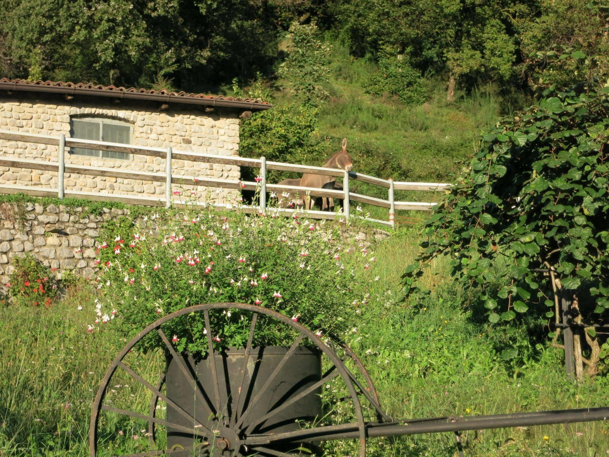 Agriturismo Deviscio Лекко Экстерьер фото
